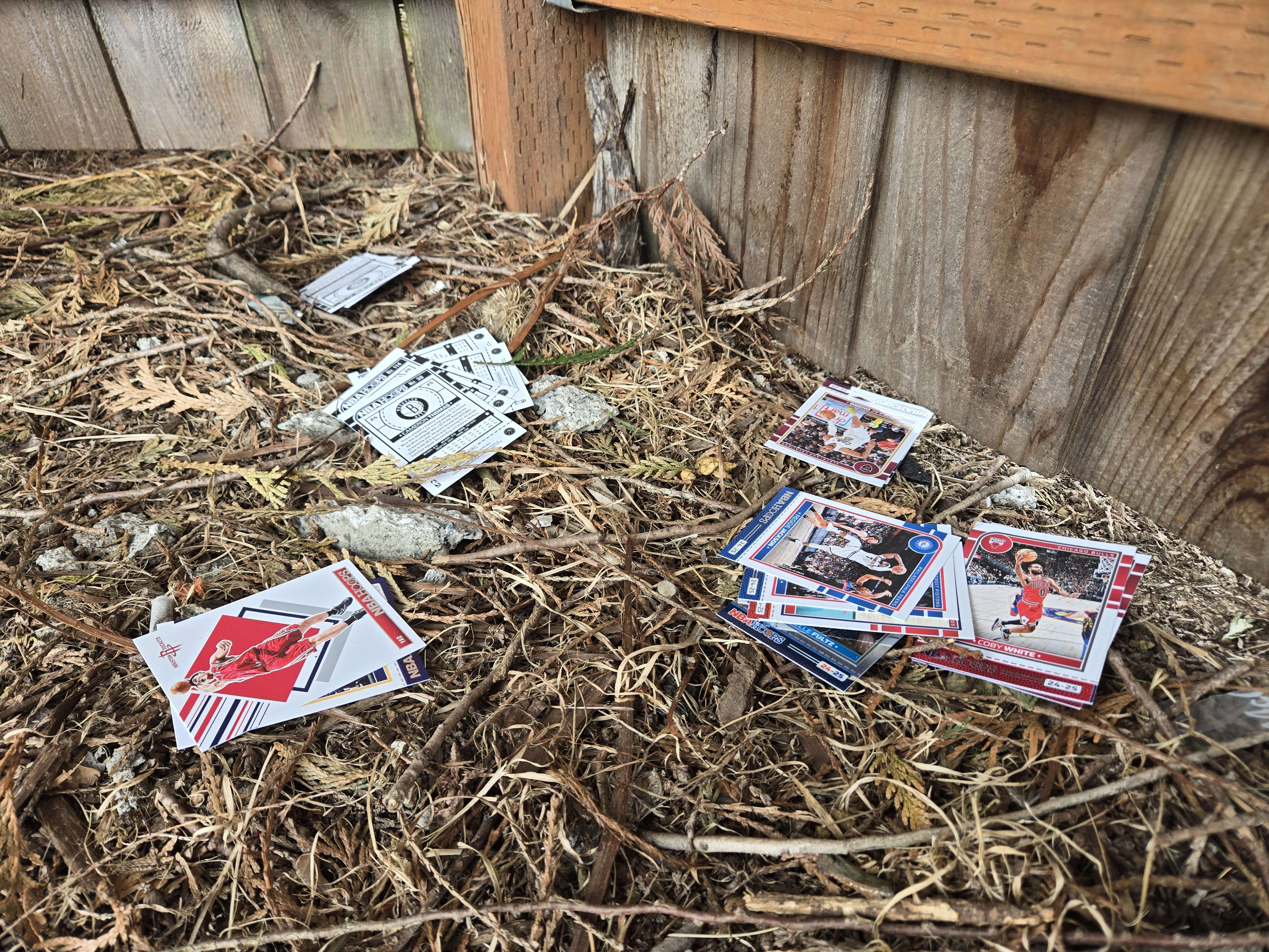 scattered basketball cards lying in a bed of twigs at the base of a fence